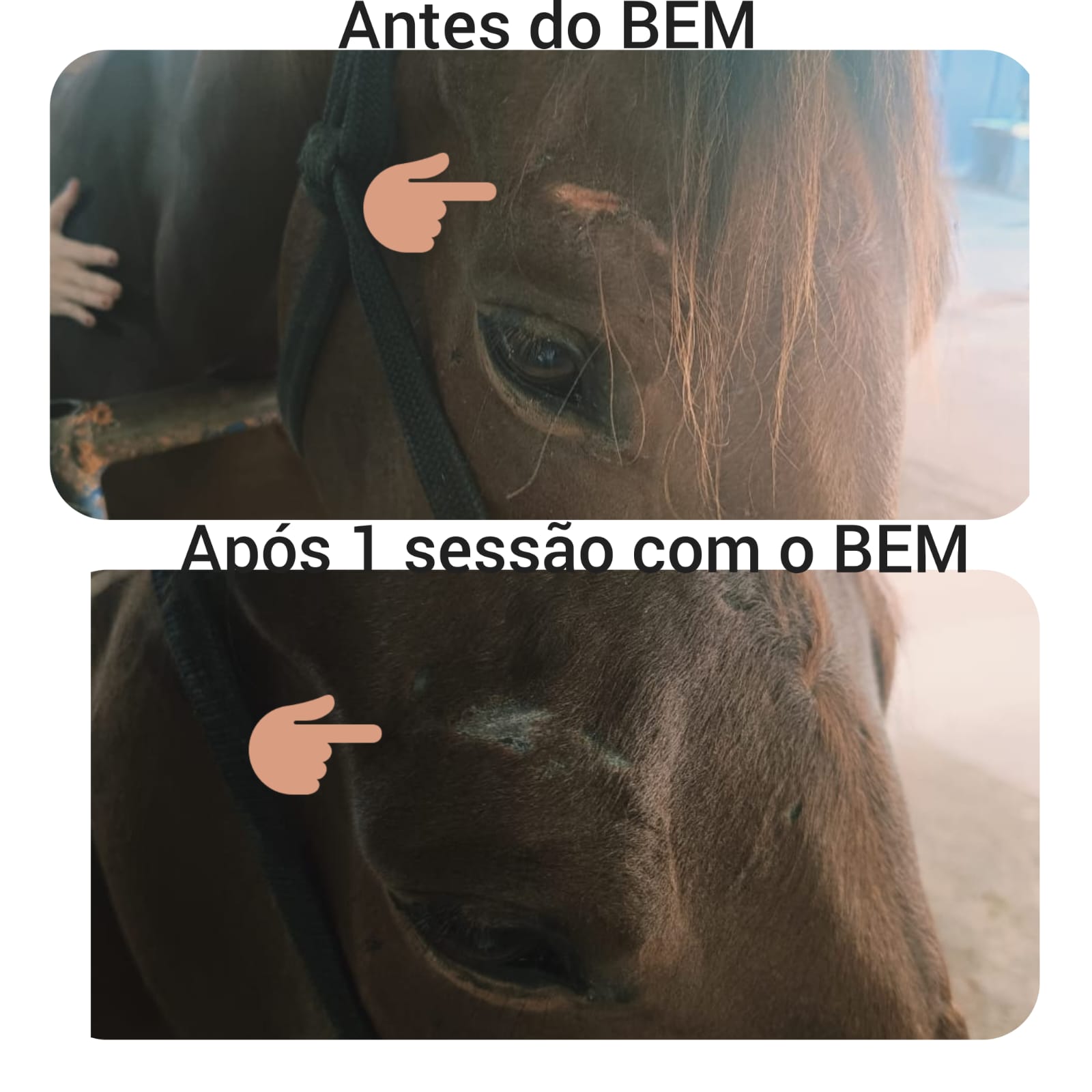 db34bf62-175e-4739-8144-6ff8aa7e67f4.jpeg